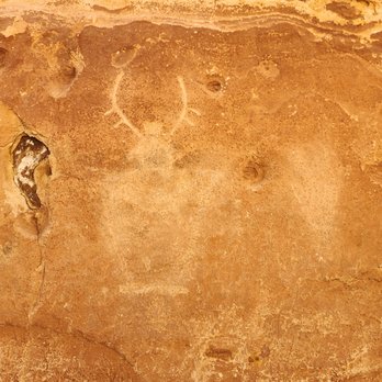 Capitol Reef National Park - Petroglyphs on Capitol Gorge Trail - Parks Near Me - Fruita, Utah
