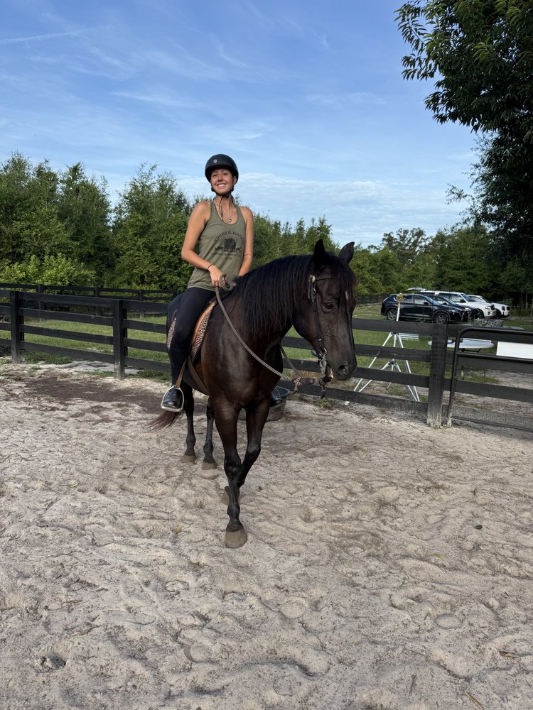 Timber Ranch Horse & Farm Camp Logo
