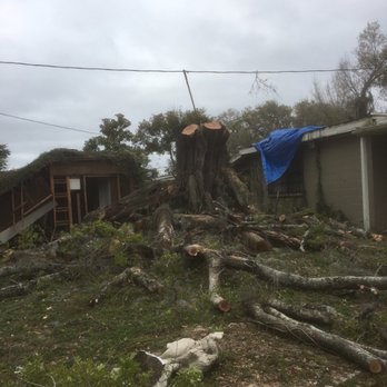 Rivero Tree Services - Tree services - Tree Services Near Me Rivero Tree Services - Tree services - Tree Services Near Me
