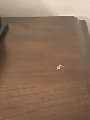 Gifted Hands Moving Company