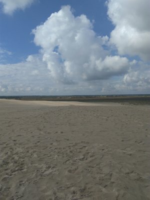 Råbjerg Mile by null