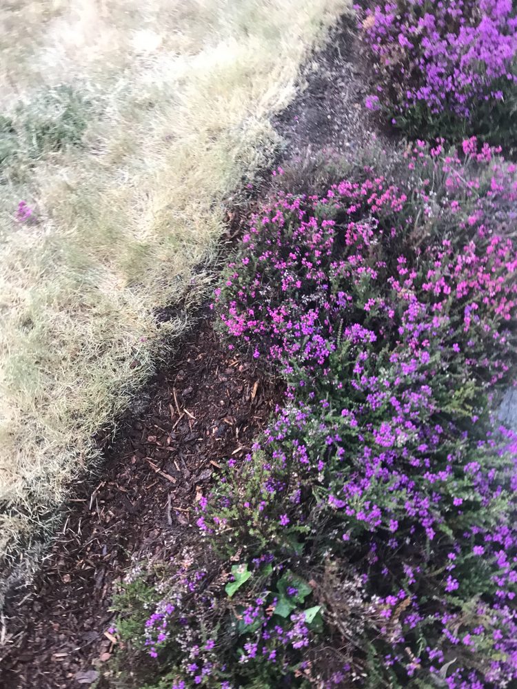 Slide of Cline & Maib