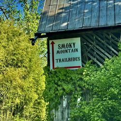Smoky Mountain Trail Rides