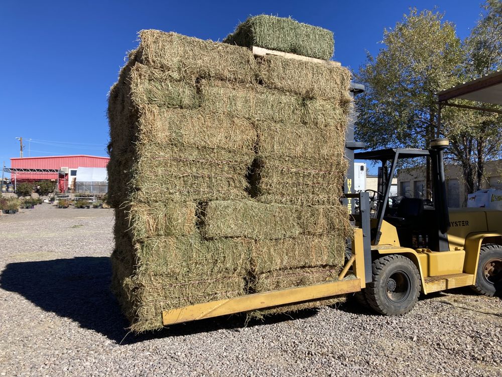 COUNTRY GIRLS NURSERY Updated October 2024 17 Photos 1950 Hwy 180