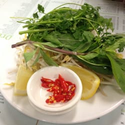 Pho Ba Ria 2 - Toppings for the Pho