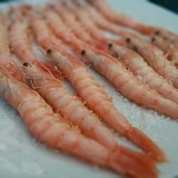 Marisquería La Colita - Gambas de huelva
