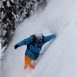 White Grizzly Cat Skiing