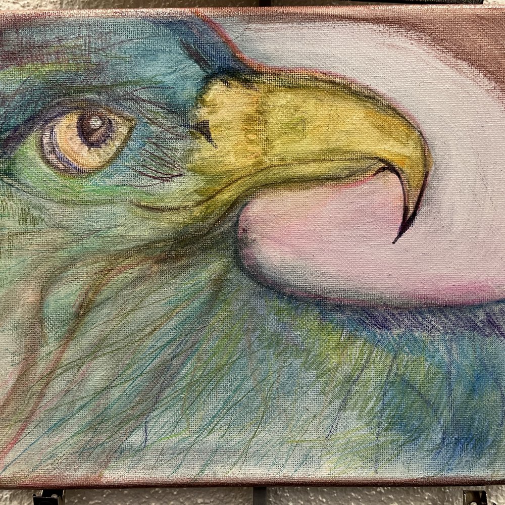 The Drawing Studio - Bird of Prey by Timo - Art Schools Near Me - Tucson, Arizona, Arizona The Drawing Studio - Bird of Prey by Timo - Art Schools Near Me - Tucson, Arizona, Arizona