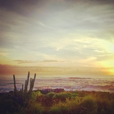 Poipu Kapili Resort by null