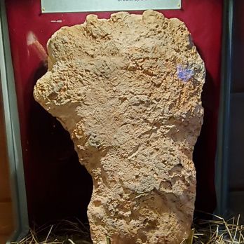 Expedition Bigfoot - Museums Near Me - Blue Ridge, Georgia Expedition Bigfoot - Museums Near Me - Blue Ridge, Georgia