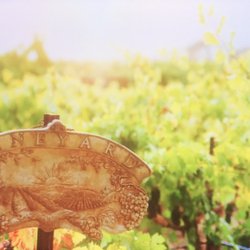 Tom's Secret Winery Tours