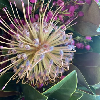 Fleurs Du Soleil - Florists Near Me - Monterey, California