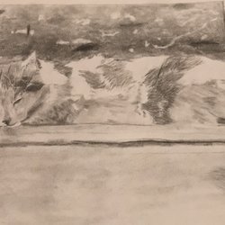 Denise Melucci - Denise guided my daughter to focus on details and shading in this drawing of a cat.