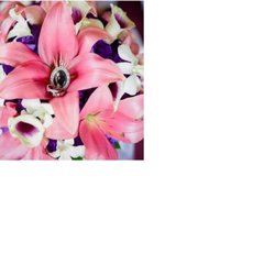 O'Malley's Floral Expressions