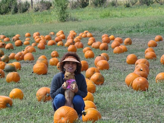 Happy Apple Farm by null