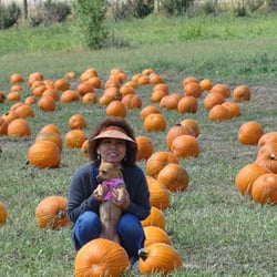 Happy Apple Farm