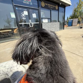 The Brewing Bean - Hi! - Coffee & Tea Near Me - Rancho Cordova, California The Brewing Bean - Hi! - Coffee & Tea Near Me - Rancho Cordova, California