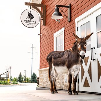 Pedro's Coffee Shop - Cafes Near Me - Timnath, Colorado Pedro's Coffee Shop - Cafes Near Me - Timnath, Colorado