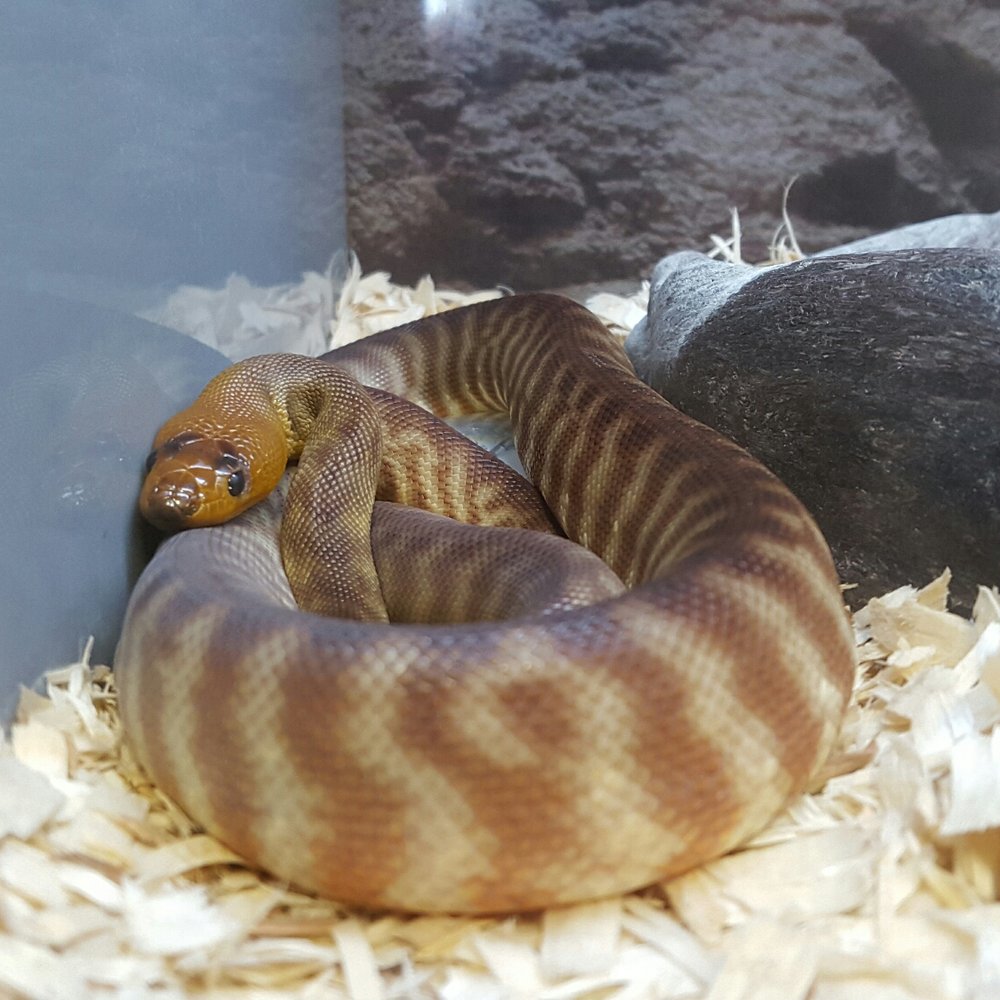 Petco - Pet Stores Near Me - Santa Rosa, California