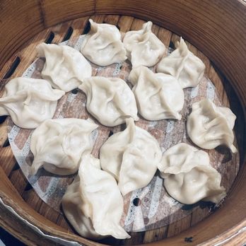 Chicago dumpling - Ramen Near Me - Western Springs, Illinois