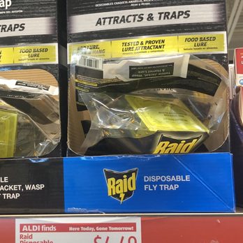 ALDI - I am obsessed with killing flies I hate them. For an animal lover flies didn't make the cut - Grocery Near Me - South Gate, California