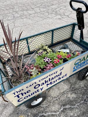 Oakland County Farmer's Market by null