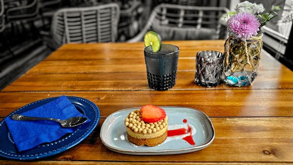 Octopus Baja by null