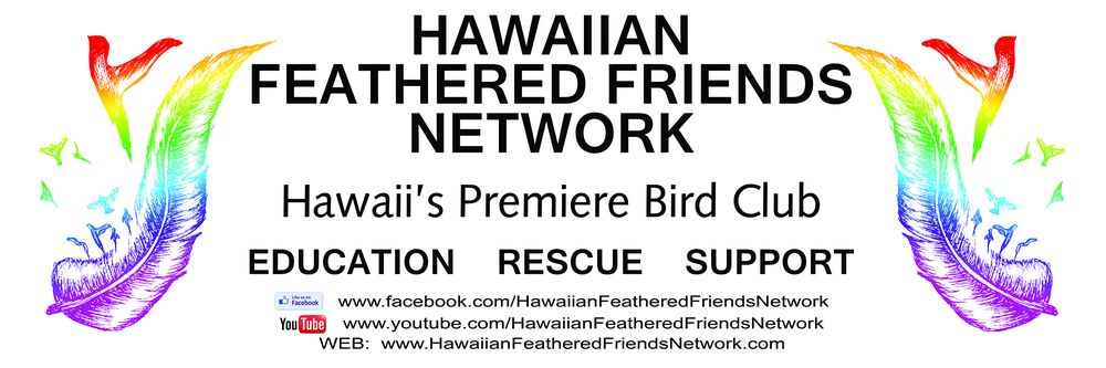 Hawaiian Feathered Friends Network - social services organization in Kailua, HI