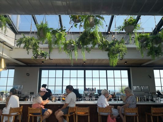 The Roof at the Rockaway by null
