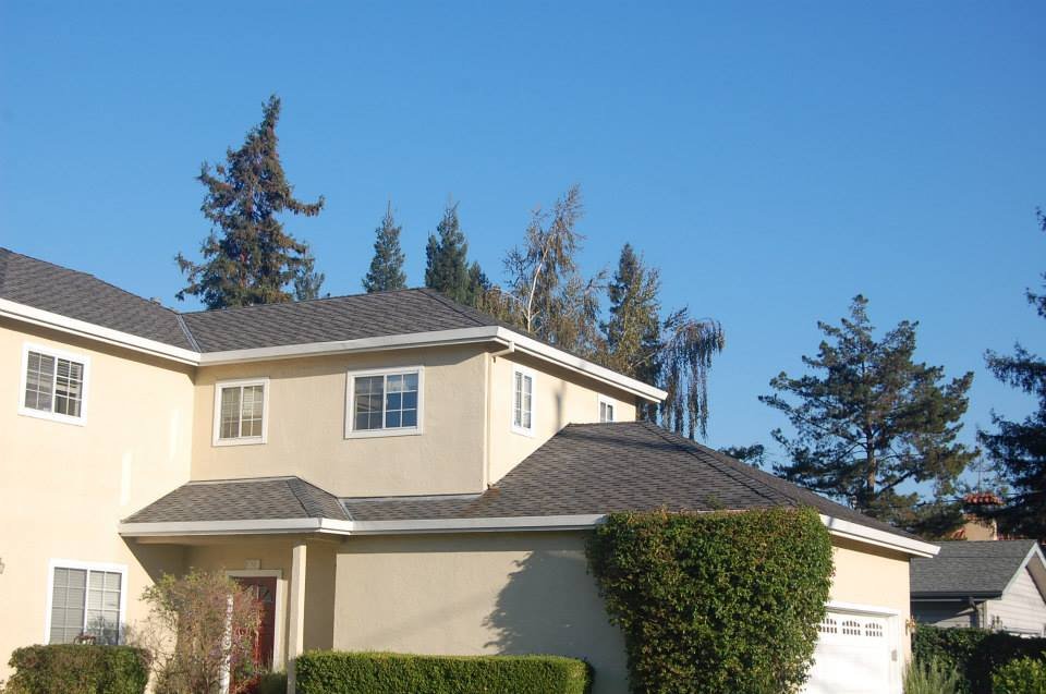 Slide of Limey Roofing