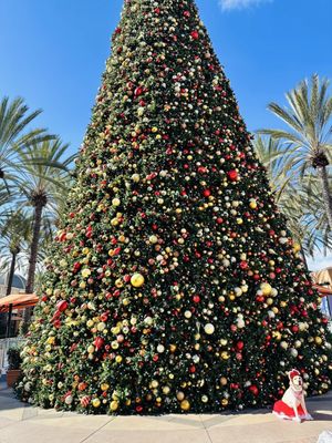 Irvine Spectrum Center by null