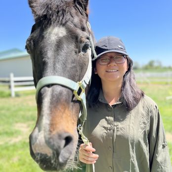 Pony Power - Beautiful friendship - Horseback Riding Near Me - Longmont, Colorado