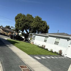 Casa Verde Landscaping & Garden Service