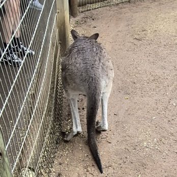 Featherdale Wildlife Park - Parks Near Me - Doonside, NSW
