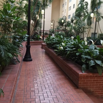 Brent House Hotel - Courtyard entrance - Hotels Near Me - New Orleans, Louisiana Brent House Hotel - Courtyard entrance - Hotels Near Me - New Orleans, Louisiana