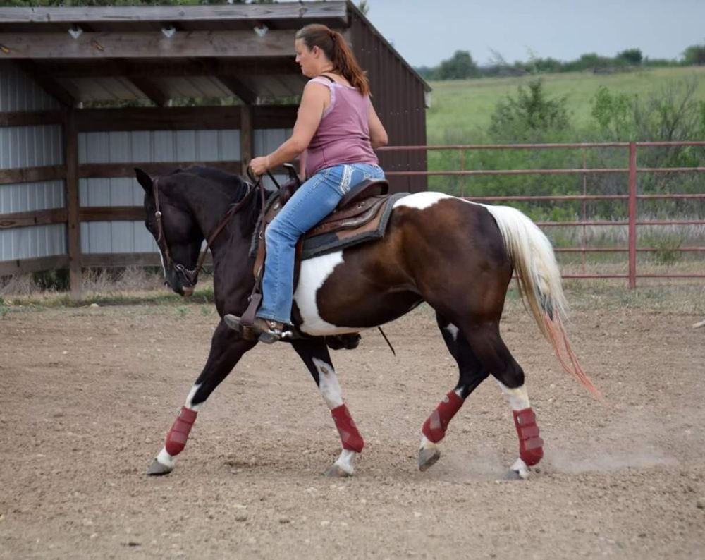 THREE BULL HEADS EQUINE Updated September 2024 12 Photos 1269 3100th Ave, Abilene, Kansas