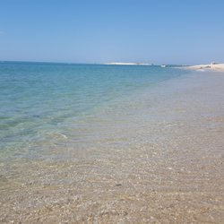 Passeios Ria Formosa