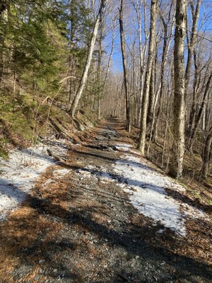 Mount Greylock State Reservation by null
