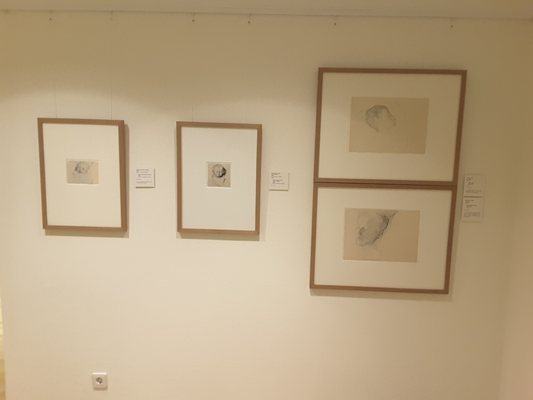 Käthe Kollwitz Museum by null