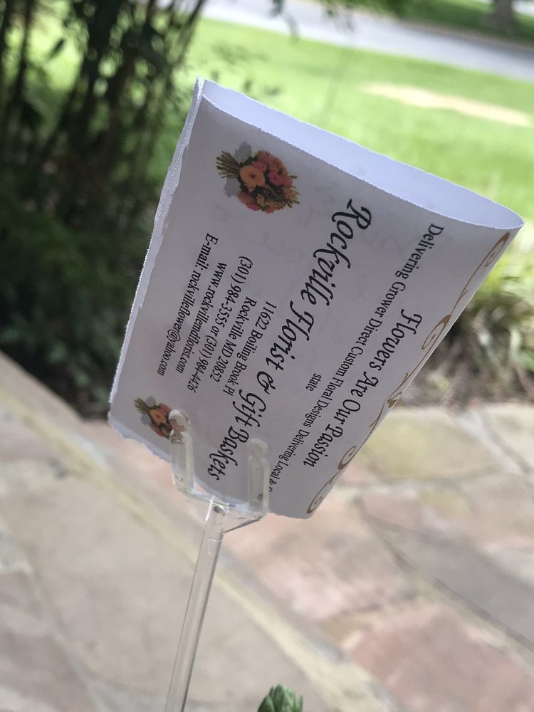 GENES ROCKVILLE FLORIST 23 Photos & 35 Reviews 785 Rockville Pike