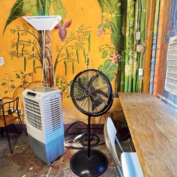 Tribal Cafe - Tribal Cafe interior - Juice Bars & Smoothies Near Me - Los Angeles, California Tribal Cafe - Tribal Cafe interior - Juice Bars & Smoothies Near Me - Los Angeles, California