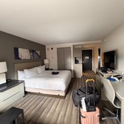 Hyatt Regency Chicago - Huge King size Room