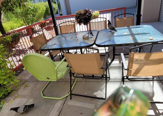 The Daily Grind by null