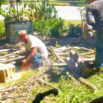 Oscar Ponce Tree Service - Cutting the stump flush - Tree Services Near Me Oscar Ponce Tree Service - Cutting the stump flush - Tree Services Near Me