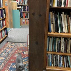 Rhino Booksellers - Bookstore cat