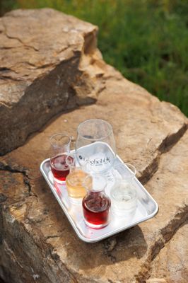 Doghobble Wine Farm by null