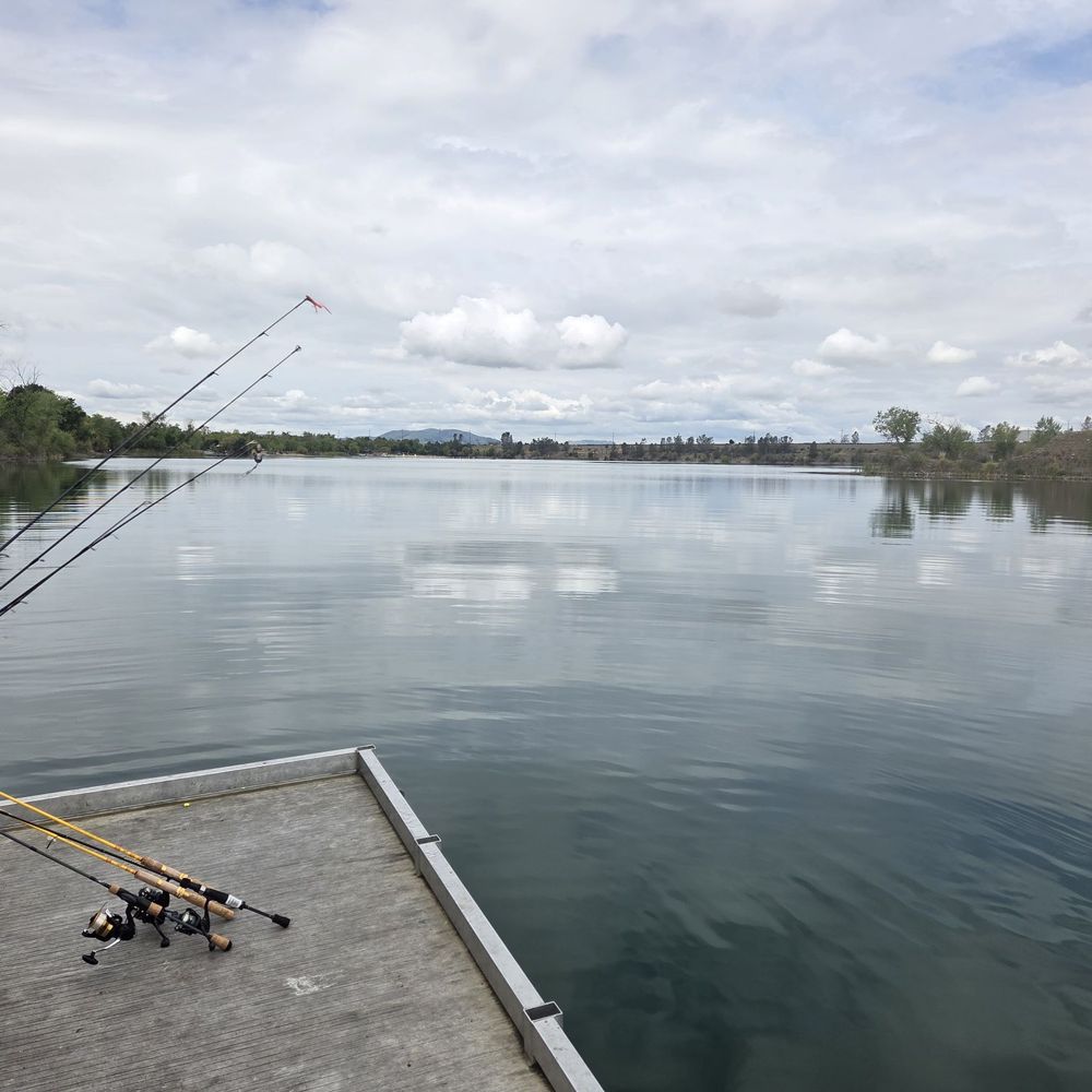 Shadow Cliffs Regional Recreation Area - fishing dock - Parks Near Me - Pleasanton, California Shadow Cliffs Regional Recreation Area - fishing dock - Parks Near Me - Pleasanton, California