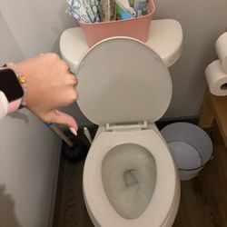 Amy's Arbors - Toilet