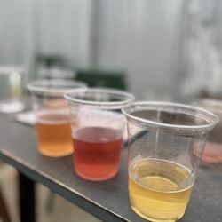 Mr B's Meadery - One of each