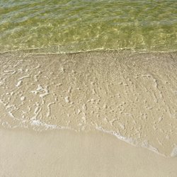 Alabama Point - Nice Sand and Water (Shells were sparse but we found some)